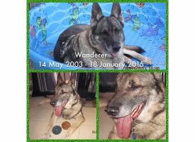 Wanderer