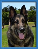 Gunner