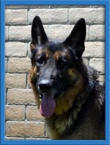 Kaiser